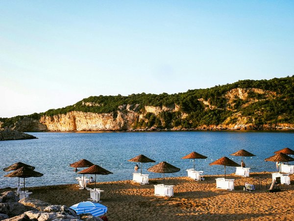 Explorer les allergies cutanées : de l'urticaire à l'eczéma découvrez les diverses manifestations